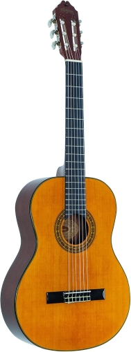 WASHBURN • C40 • Класическа китара 