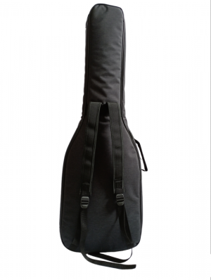 CANTO EBS 1,0 PL BASS GUITAR BAG