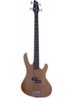 Washburn XB100NM